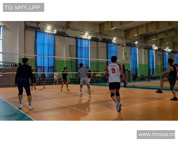 武汉排球队实力分析与发展潜力探讨聚焦排球竞技新篇章
