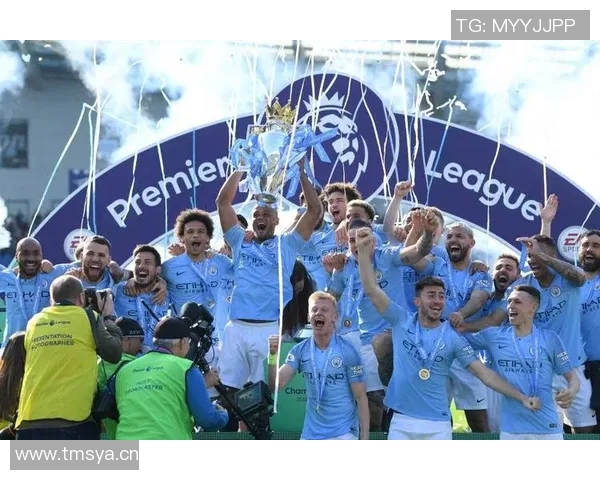 英超球队战绩:英超各球队的战绩回顾与赛季总结 英超球队战绩:英超各球队的战绩回顾与赛季总结